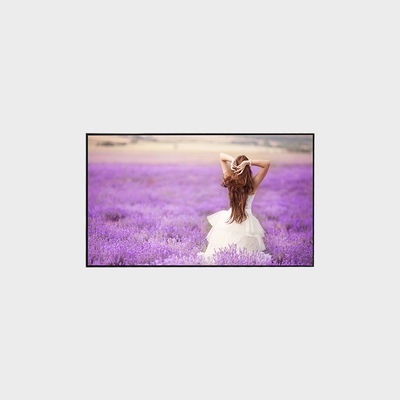 55-дюймовый высокояркий ЖК-дисплей 3840*2160 V на 3000 Nits Display