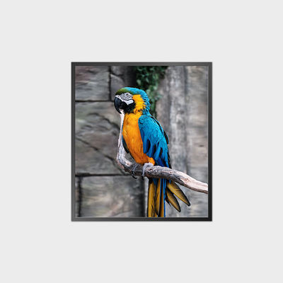 Высококонтрастная квадратная ЖК-панель 35,6 дюйма 950*1080 500nit С системой Android