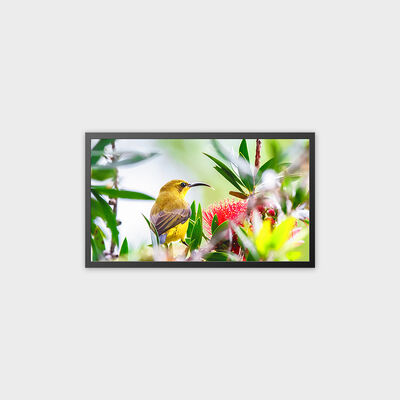 Решение высокой яркости 32-дюймового TFT LCD рекламного дисплея 4000 нит