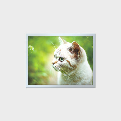 15-дюймовый TFT-дисплей высокой яркости с длительным сроком службы для промышленных приборных панелей