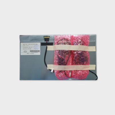 13.3 Inch TFT LCD Solution 800nits Brightness Solution Wide Temperature Display