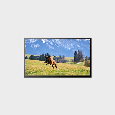 23.8 дюйма высокояркость LCD дисплей 58W 1920 * 1080 LVDS LCD панель 1000nits