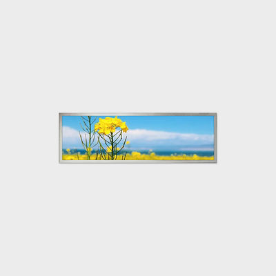 19.4 дюймовое решение для LCD-дисплея TFT с 1920 * 510 поддержки настройки приложений для умного дома