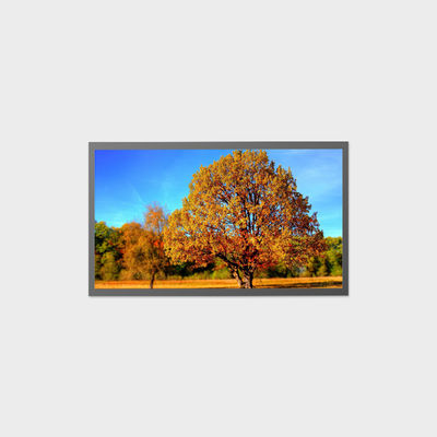 13.1 inch TFT LCD Display Support High Brightness Industrial Control