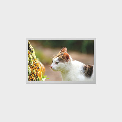 12,1-дюймовый TFT-дисплей с ЖК-дисплеем с низким энергопотреблением для портативных медицинских приборов