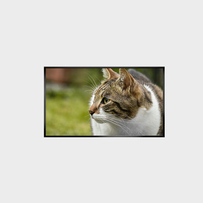 Industrial Grade 43" LCD Screen with High Brightness 1500nits and Wide Temperature Range LCMA-RX0430GB02-C150