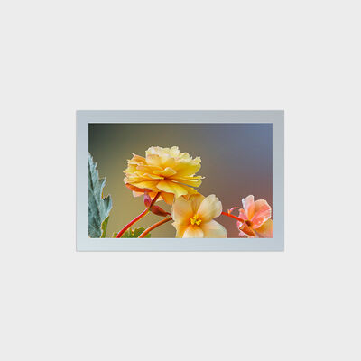 Тип TFT LCD 27 дюймов квадратный с решением вырезывания разрешения 1847*1154
