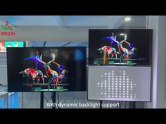 Введение в техническую поддержку локального затемнения Rogin