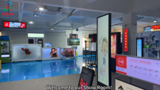 Rogin's Show Room — ЖК-модуль Full‑HD малого и среднего размера